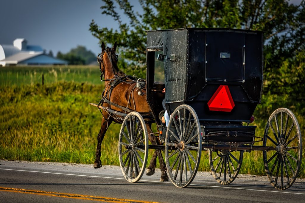 buggy in amish country