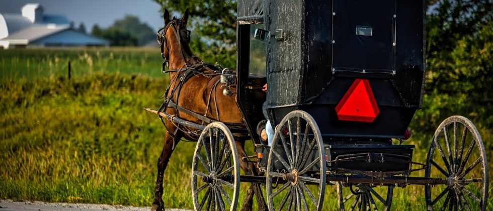 buggy in amish country