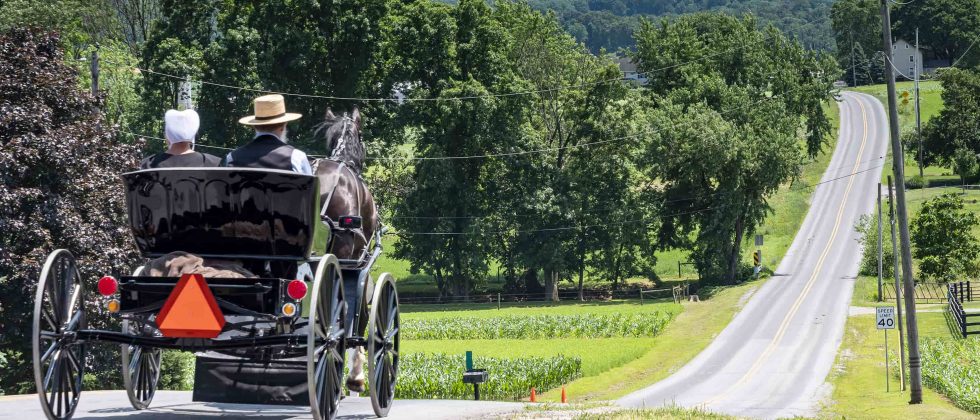 Amish horse-drawn buggy - a top Amish country attraction