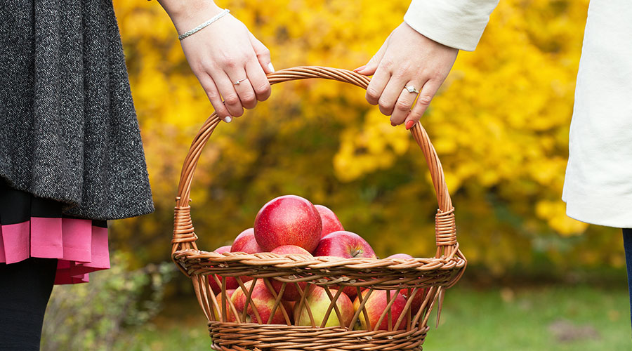 Couple apple picking on an Ohio fall getaway