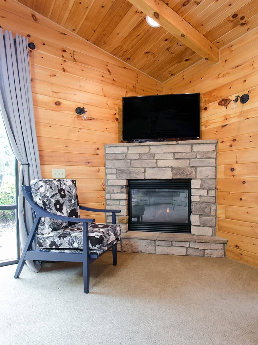 Fireplace with TV and Chair