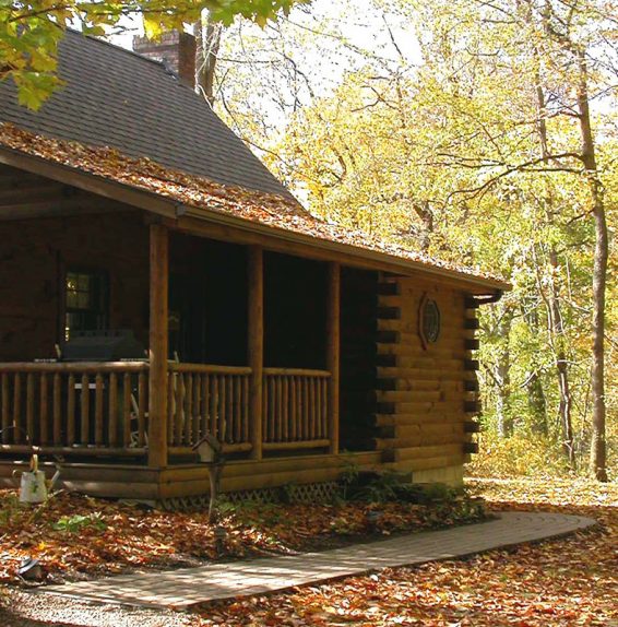 Grapevine Cabin exterior