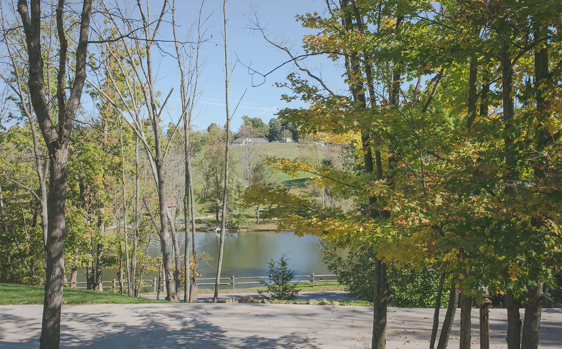 Pond View from Dogwood Cabin