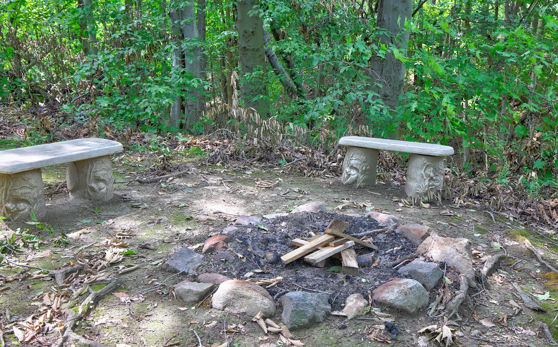 Grapevine Cabin fire ring