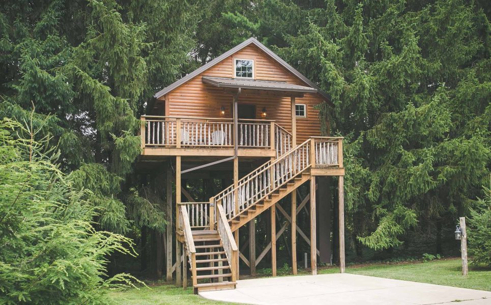 Exterior of Lofty Willows Tree House