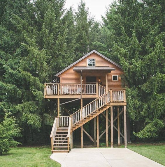 Exterior of Lofty Willows Treehouse