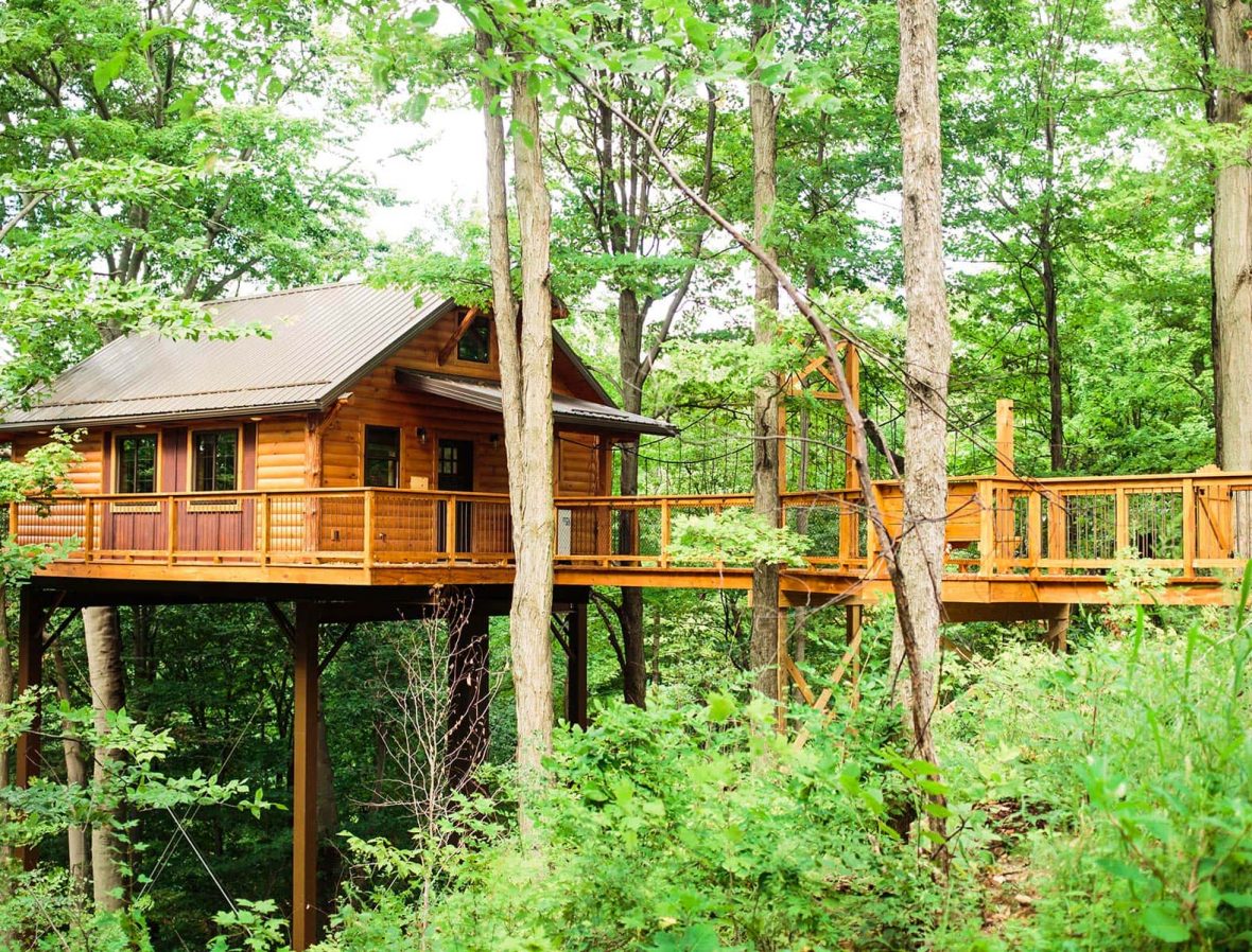 Alternate view of Exterior of Tree House #5