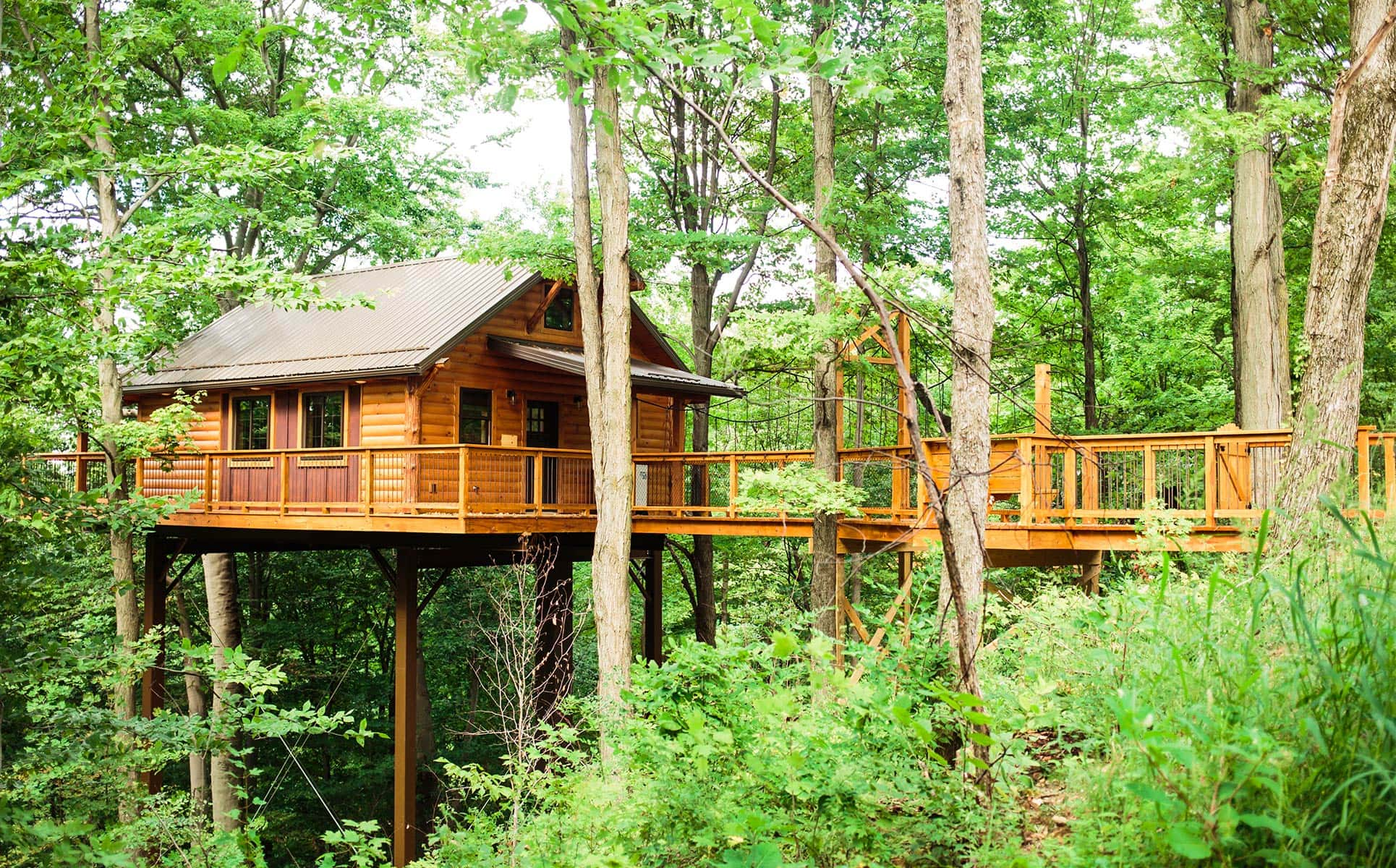 Alternate view of Exterior of Treehouse #5