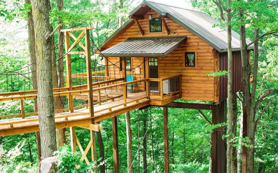 Exterior of Tree House #5