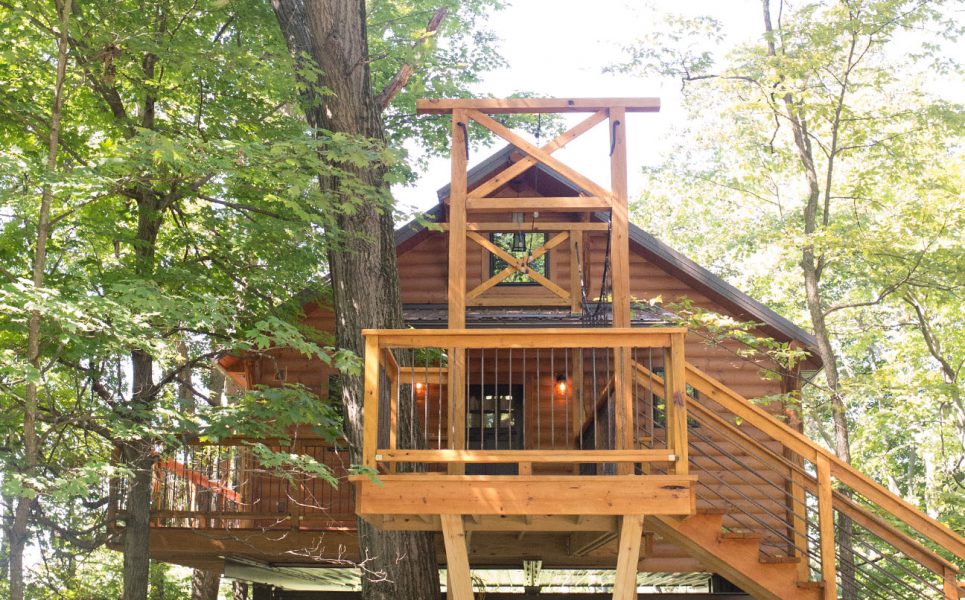 Exterior Tree House #6