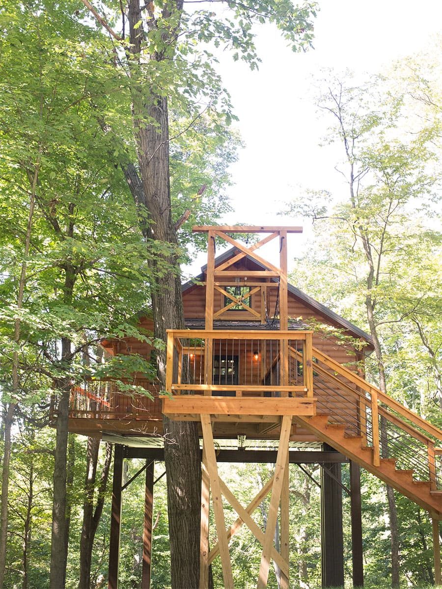 Exterior Treehouse #6