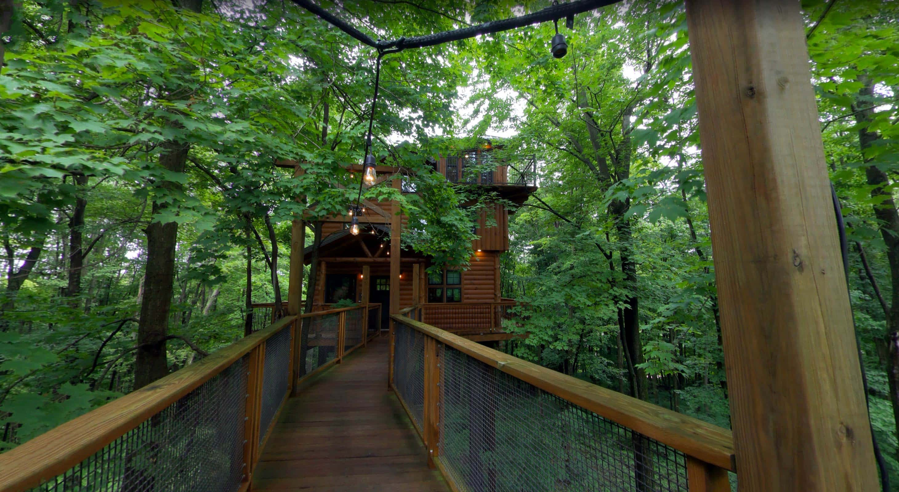 Exterior of Treehouse #1