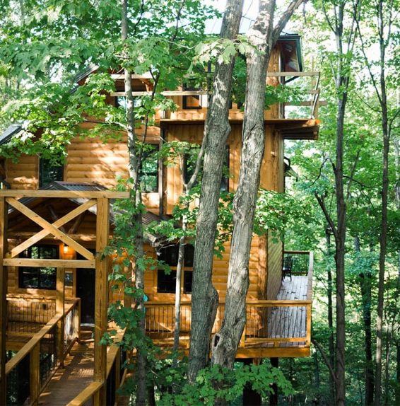 Exterior of Treehouse #3